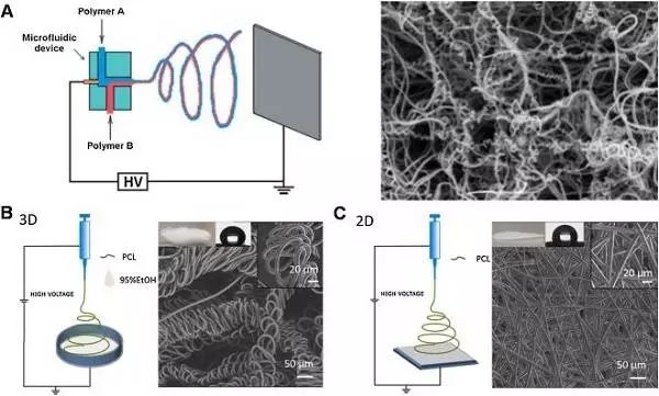 天津大学仰大勇团队综述:生物功能电纺纳米材料——从拓扑结构设计到生物应用的图7